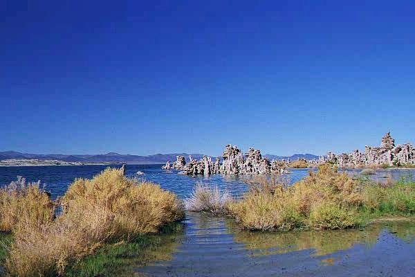 monolake